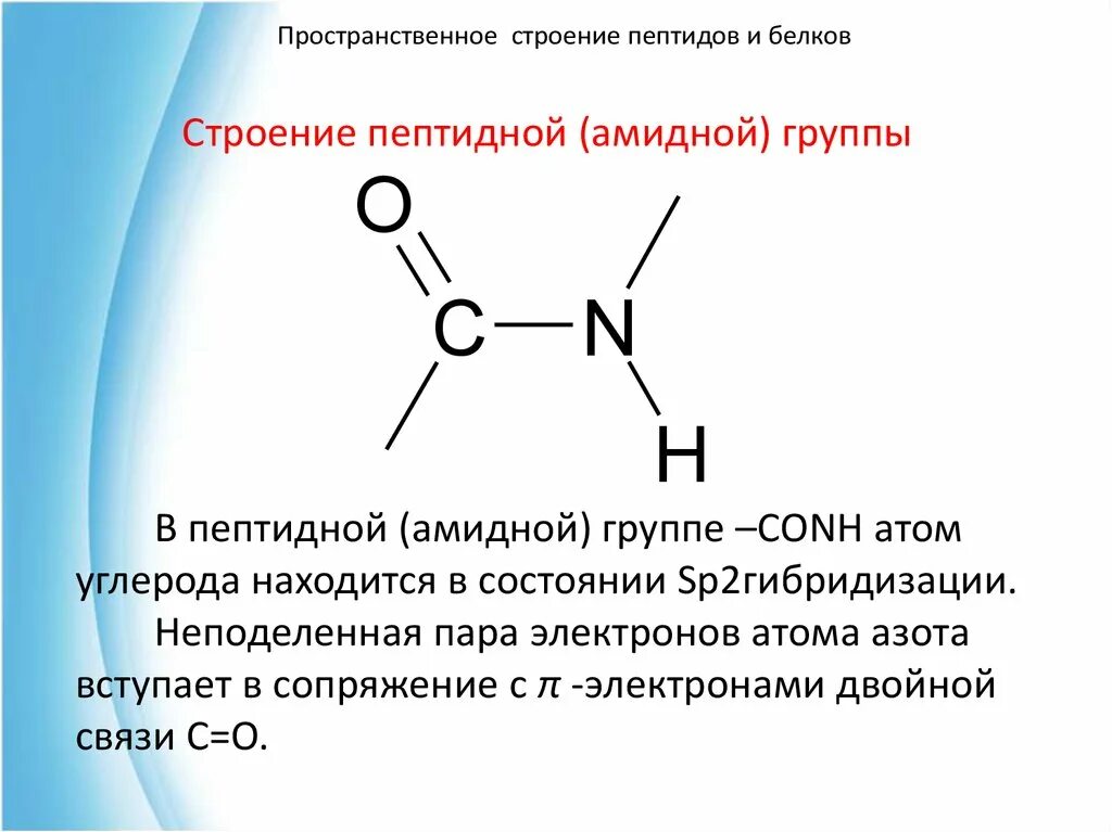 Пептиды. Пространственное строение пептидной группы.. Пептидная связь химическая структура. Пептиды образование строение. Пептидная амидная группа. Пептидная группа атомов