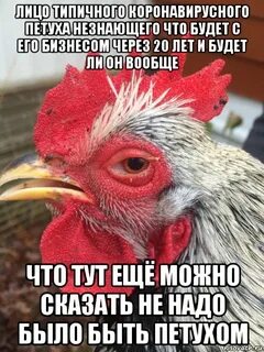 Петушки снять