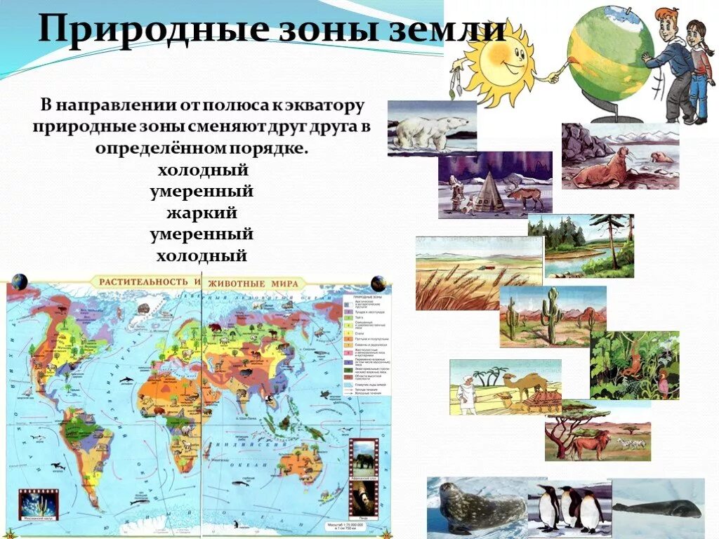 Карта природных зон и почв. Природные зоны географии 6 класс. Природные зоны схема. Природные зоны географии 6 класс. Карта природных зон 7 класс география.