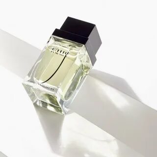 Chic for men carolina