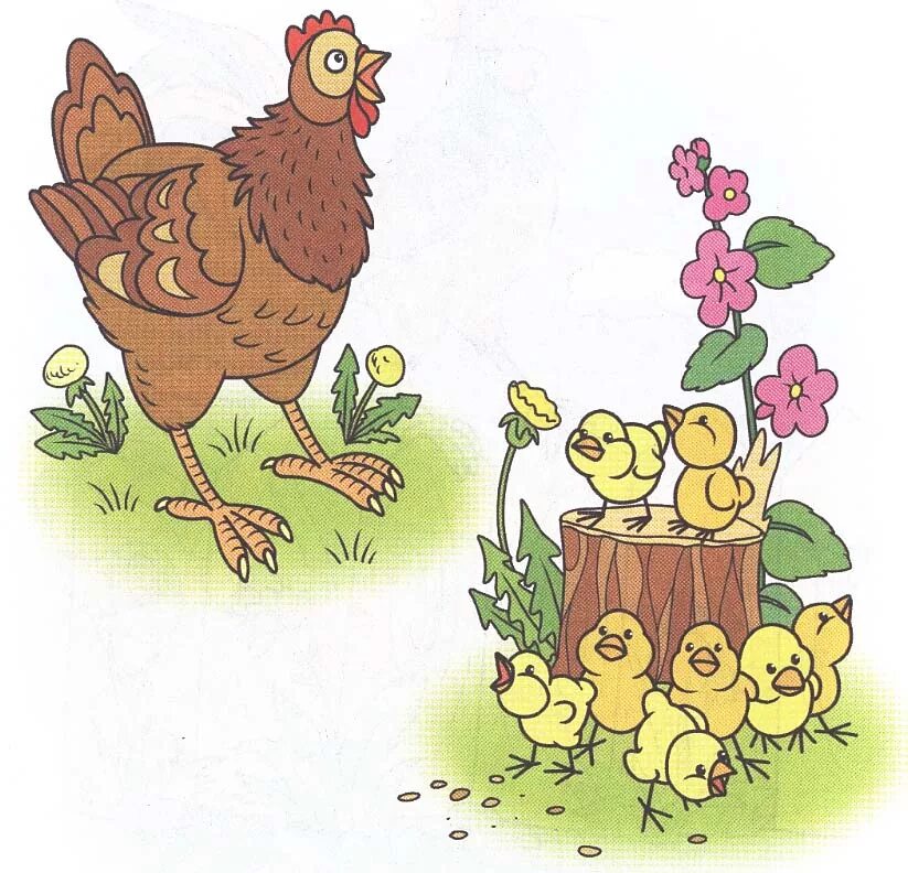 Рисунки с курами. Курочка с цыплятами для детей. Цыплята с курицей в ДОУ. Курица с цыплятами рисунок для детей. Иллюстрация Курочка с цыплятами.