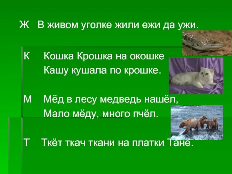 Ежи у нас под крыльцом. В живом уголке жили Ежи. В живом уголке жили Ежи и ужи. Ежик живет в живом уголке. У нас под крыльцом живут Ежи текст.