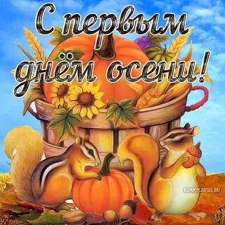 1 сентября 2024 первый день осени