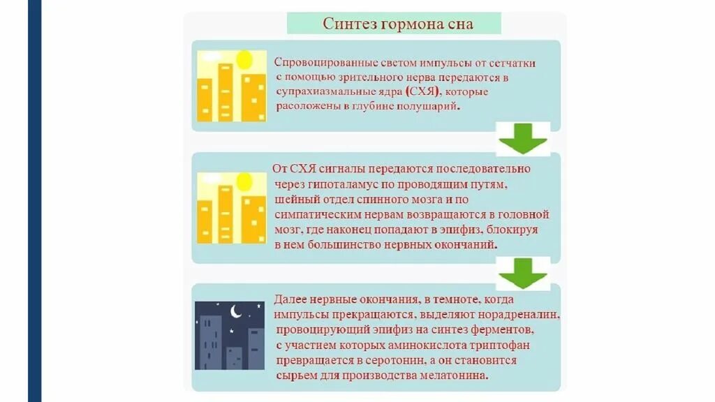 Мелатонин через сколько действует. Мелатонин гормон синтез. синтез гормонов сна. гормон вырабатываемый во время сна. гормоны которые вырабатываются ночью.