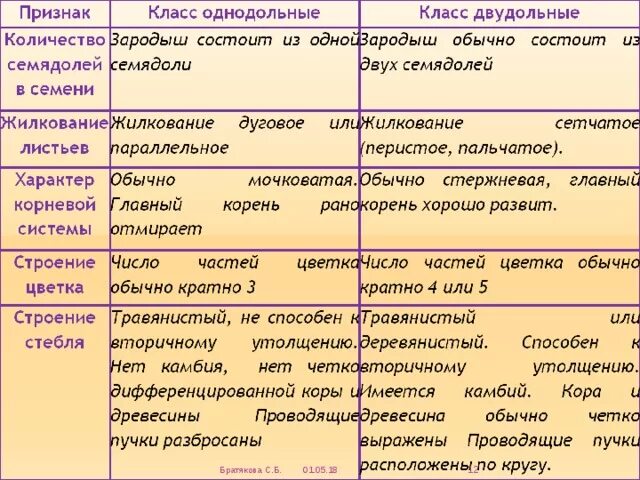 Общая характеристика двудольных. Сравнение классов однодольных и двудольных растений таблица.