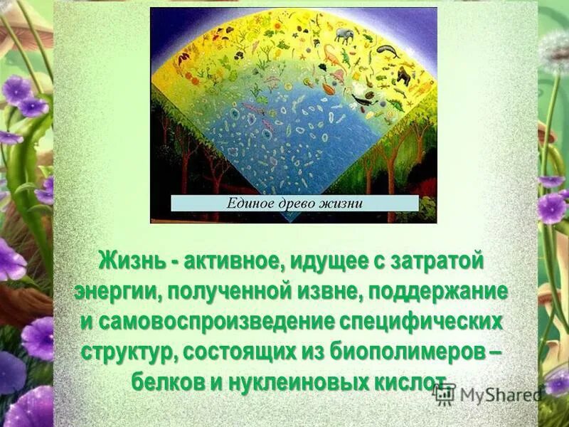 Почему трудно дать определение понятия жизнь. Почему трудно дать определение понятия жизнь