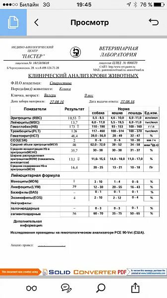 Эритроциты у кошки повышены