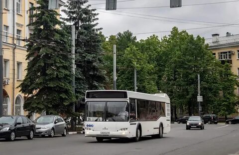 31 маршрутка брянск