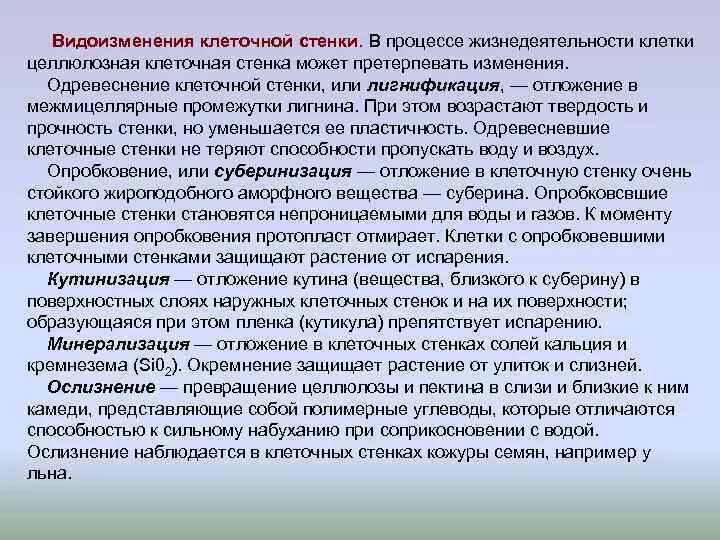 К образованию какой структуры приводит суберинизация. Кутинизация клеточной стенки растений. Видоизменения клеточной стенки. Видоизменения клеточной стенки растений. Модификации клеточной стенки.