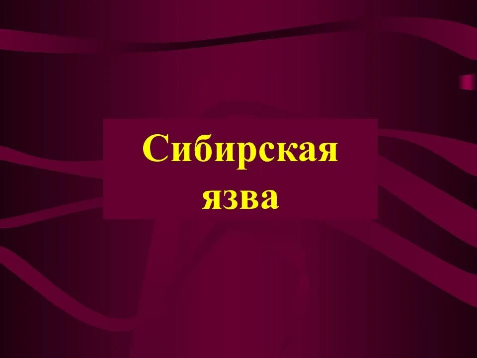 Сибирская язва презентация. Презентация на тему Сибирская язва. Сибирская язва спасибо за внимание. Сиб язва