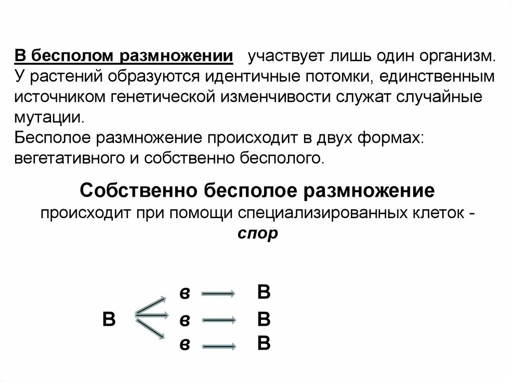 При бесполом размножении потомки генетически. Почему при бесполом размножении потомки генетически сходны. При бесполом размножении потомство генетически. Почему при бесполом размножении потомки идентичны родителю.