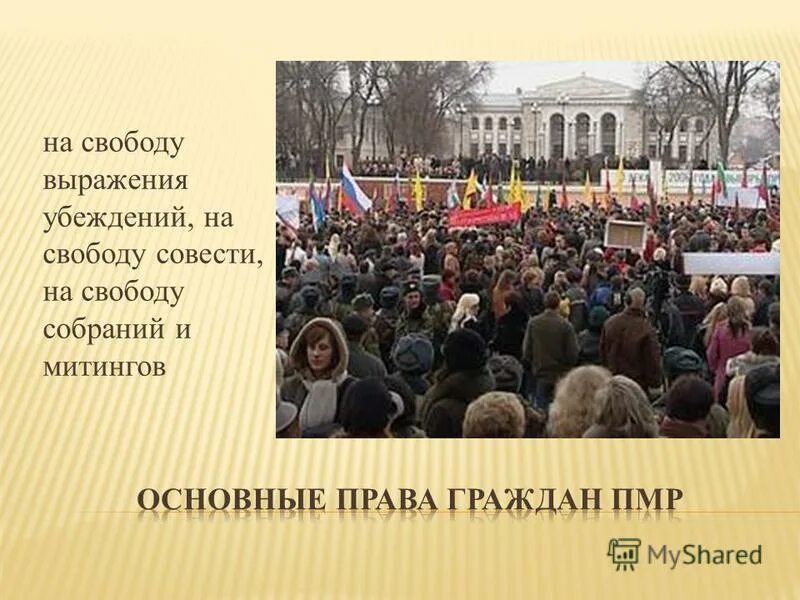 Конституция собрания митинги