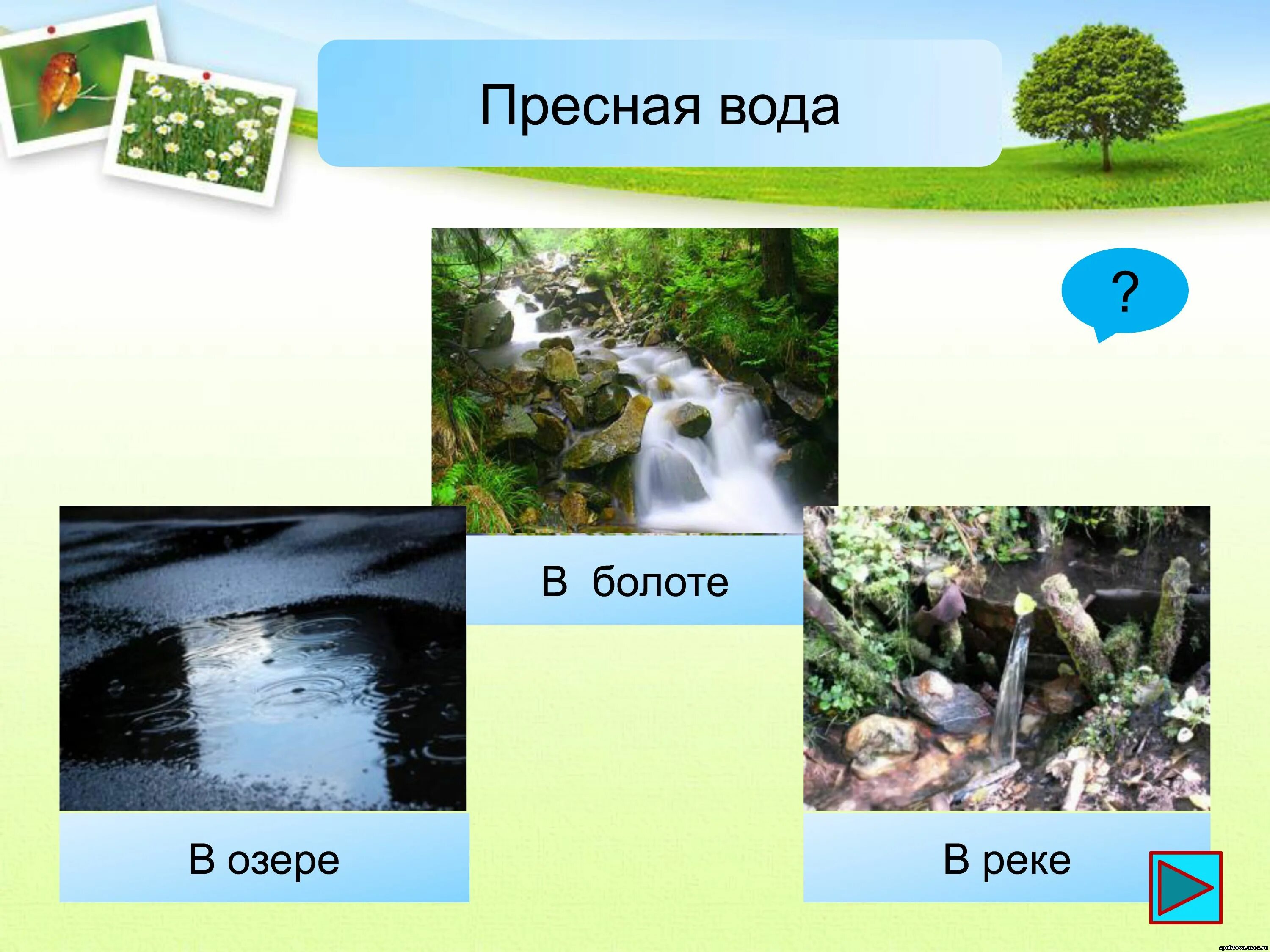 В болоте пресная вода. Источники пресной воды. Пресная вода. Вода в реках, Озерах, морях. Вода в природе презентация.