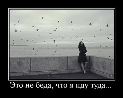 Да это беда