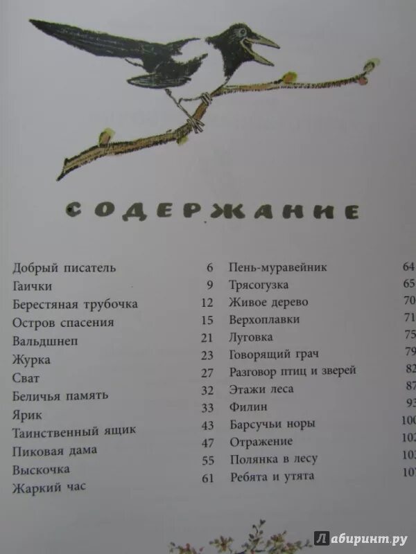 Рассказ берестяная трубочка. М пришвин берестяная трубочка иллюстрации. Пришвин берестяная трубочка книга.