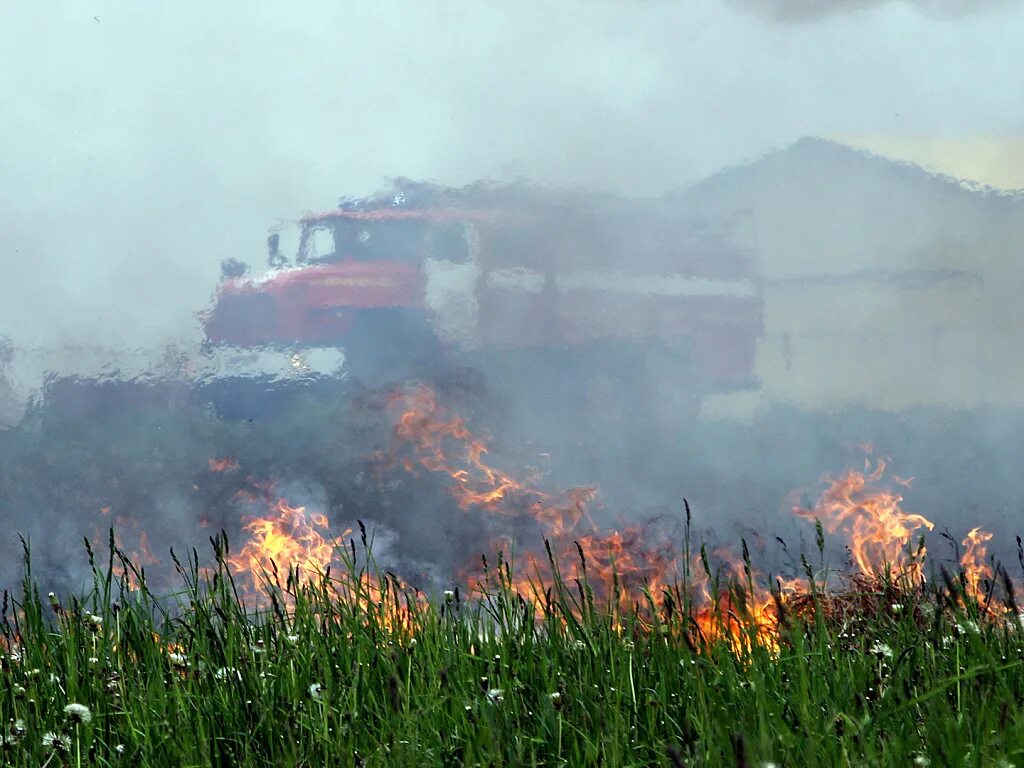 Экологическая катастрофа. Аэс чернобыль радиация. Мончегорск природа выжженная. Чрезвычайно виден. Шторм это стихийное бедствие.