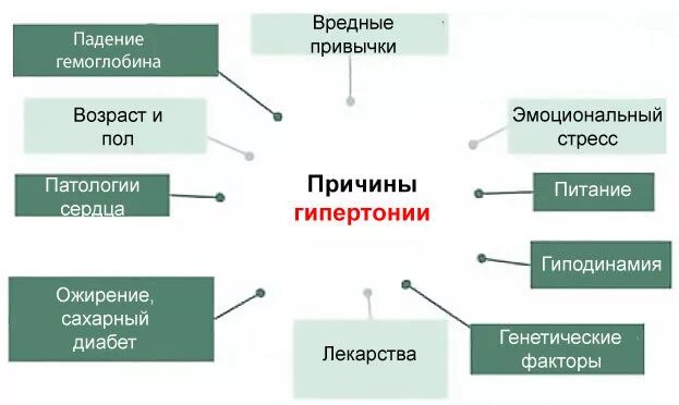 Фактор развития гипертонии. Причины возникновения гипертонической болезни. Основная причина развития артериальной гипертензии. Основная причина развития гипертонической болезни. Провоцирующие факторы гипертонической болезни.