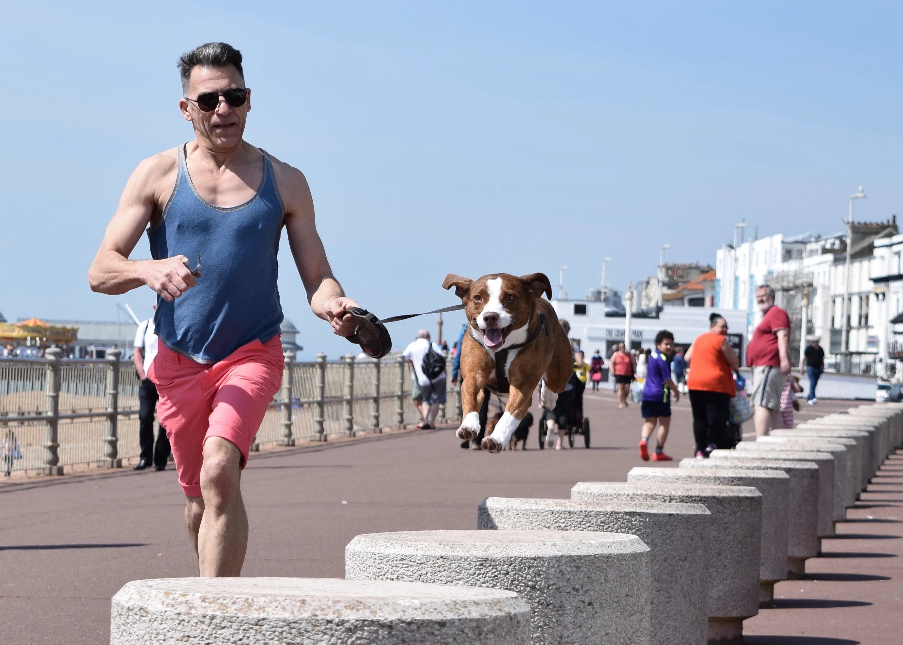 My dog running