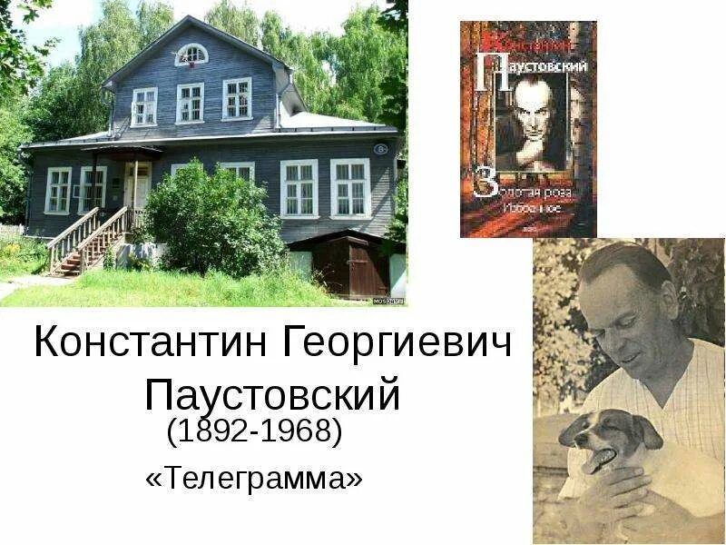 Паустовский 23. Паустовский телеграмма книга. Герои Паустовского. Телеграмма обложка книги.