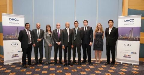 Wl company dmcc