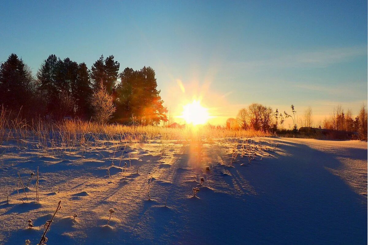 Солнце весеннее светит землю ласкает теплом. Солнце зимой. Рассвет зимой. Раннее утро зимой. Зимний закат.