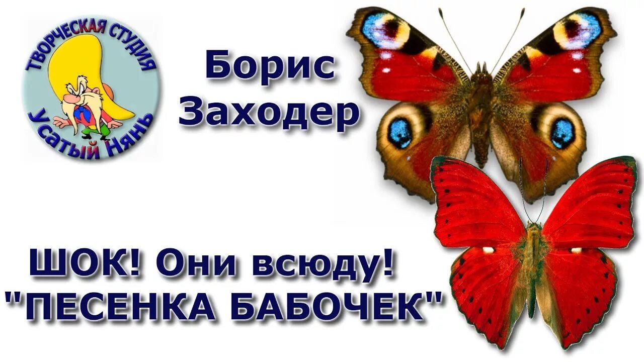 Заходер песенка бабочек. Песенка про бабочку детская. Песни про бабочек. Какая бабочка песня