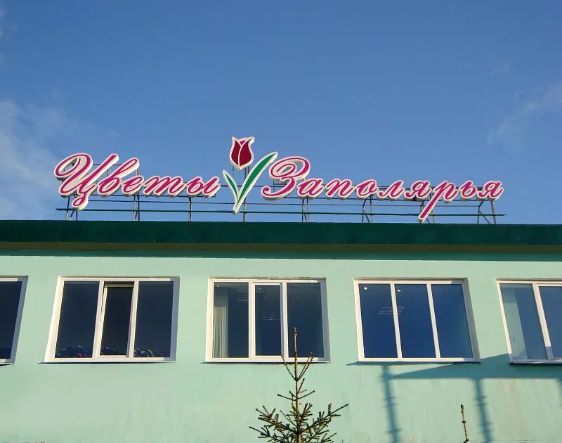 Выставка цветы заполярья. Цветы заполярья мурманск. магазин цветы заполярья мурманск. заполярье салехард магазин. мурманск кольский проспект 120 цветы заполярья.