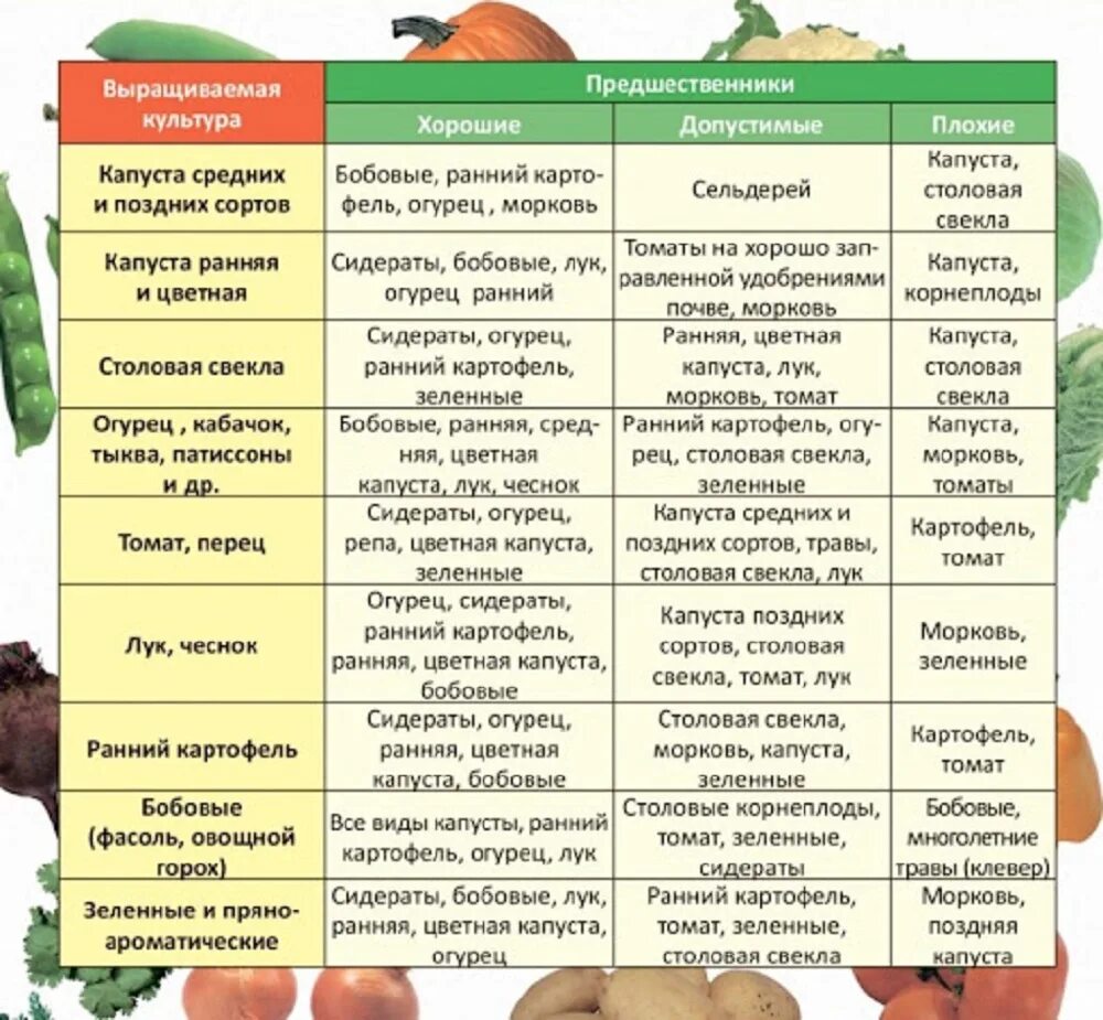 Что можно посадить на месте. Таблица севооборота овощных культур. Севооборот овощей в огороде на грядках. Севооборот овощей в огороде таблица. Таблица севооборота овощных на грядках.