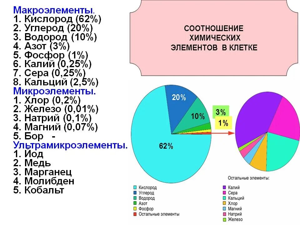 Соотношение азота и кислорода. Процентное содержание микроэлементов в клетке. соотношение химических элементов в клетке. содержание макроэлементов в организме человека в процентах. содержание микроэлементов в клетке в процентах.