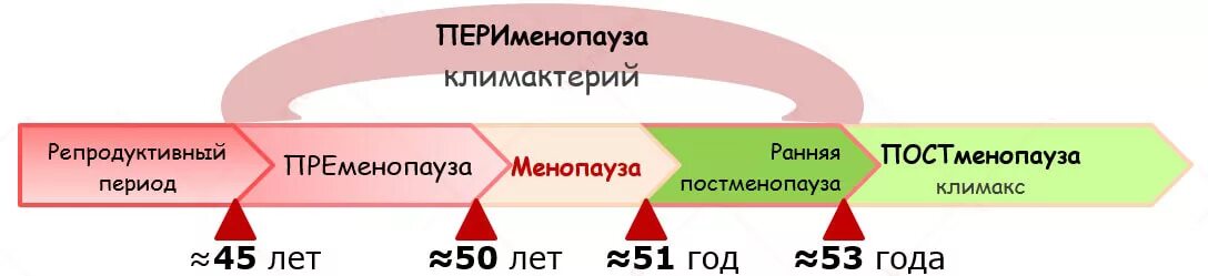 Пременопауза лечение. Стадии климакса. Менопауза схема. Климактерический период схема. Периоды климакса у женщин.