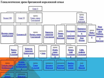 Древо елизаветы