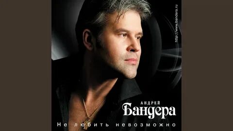 Бандера темной ночкой не гони