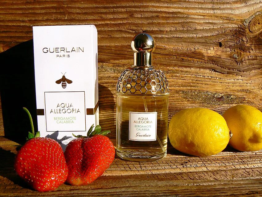 Духи бергамот. Бергамот запах. Свеча с запахом бергамота. Бергамот аромат. Бергамот купить севастополь.