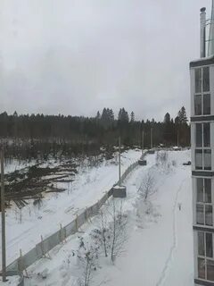 Мариф кукковка