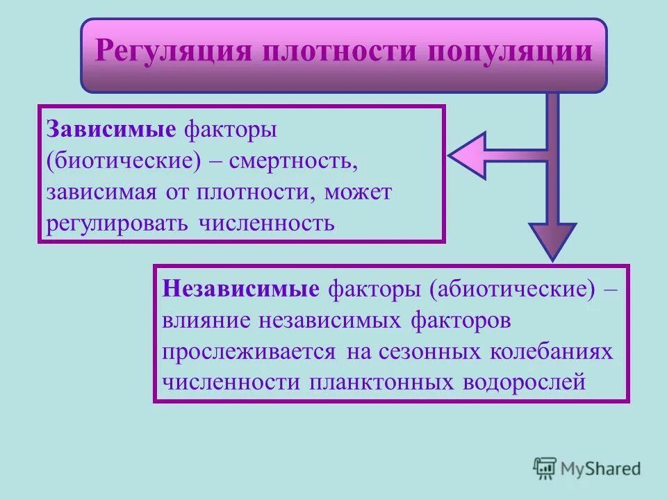 Регуляция плотности популяции. Факторы саморегуляции плотности популяций. Факторы зависимые от плотности популяции. Факторы регулирующие плотность популяции.