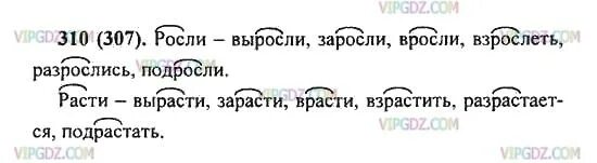 Здесь корень. Собери корень слова. Оазбор слово по составу. Корень слова 5 класс. Слова с корнем общ.