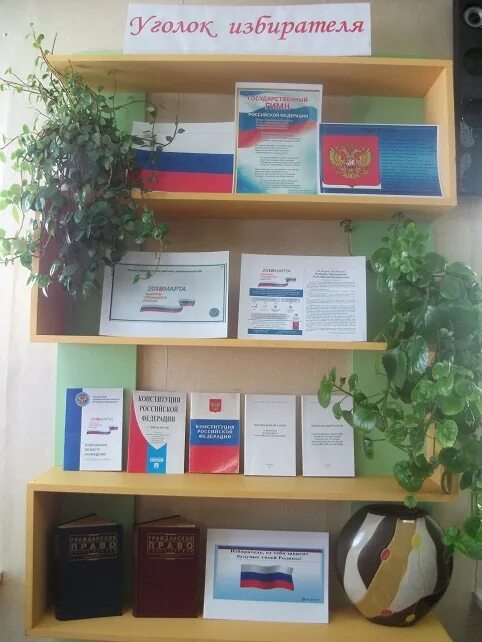 информационный стенд уголок молодого избирателя. декада молодого избирателя картинки. уголок избирателя. выставка молодого избирателя. уголок избирателя 2024 оформление.