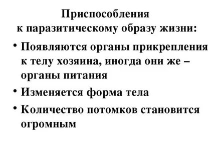Приспособлены к жизни они