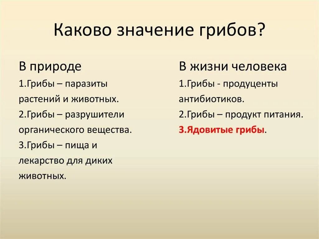 Каково значение грибов для человека. Значение грибов в природе и жизни человека. Каково значение грибов в природе. Роль грибов в жизни человека.