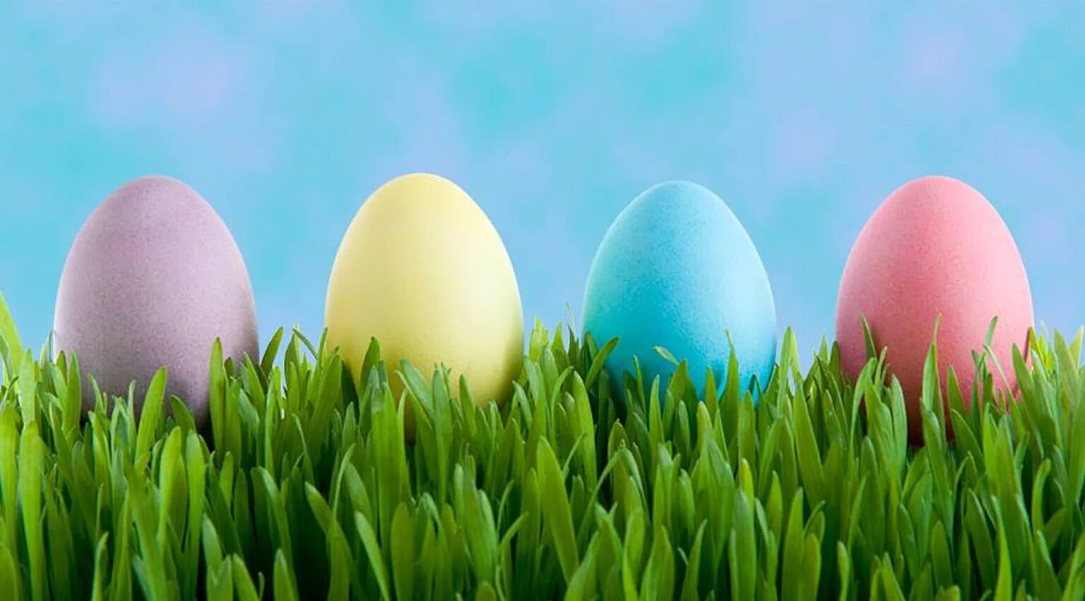 Android s easter. Пасхальное яйцо. easter egg hunt. виртуальное пасхальное яйцо. пасхальные яйца однотонные.