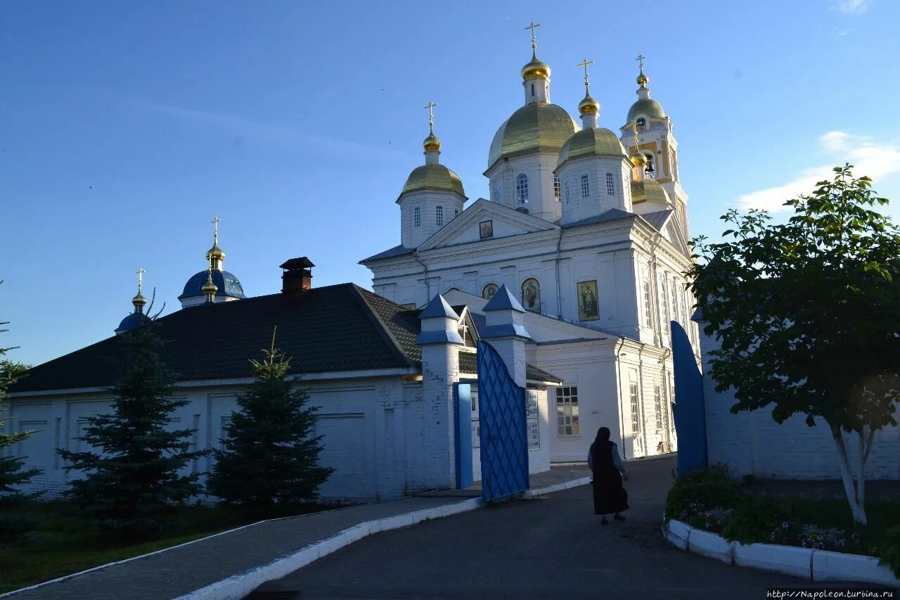 Монастыри нижегородской области сайты. Оранский Богородицкий монастырь. Оранский монастырь Нижний Новгород. Монастырь в Оранках Нижегородской области. Оранский Богородицкий монастырь Богородский район.