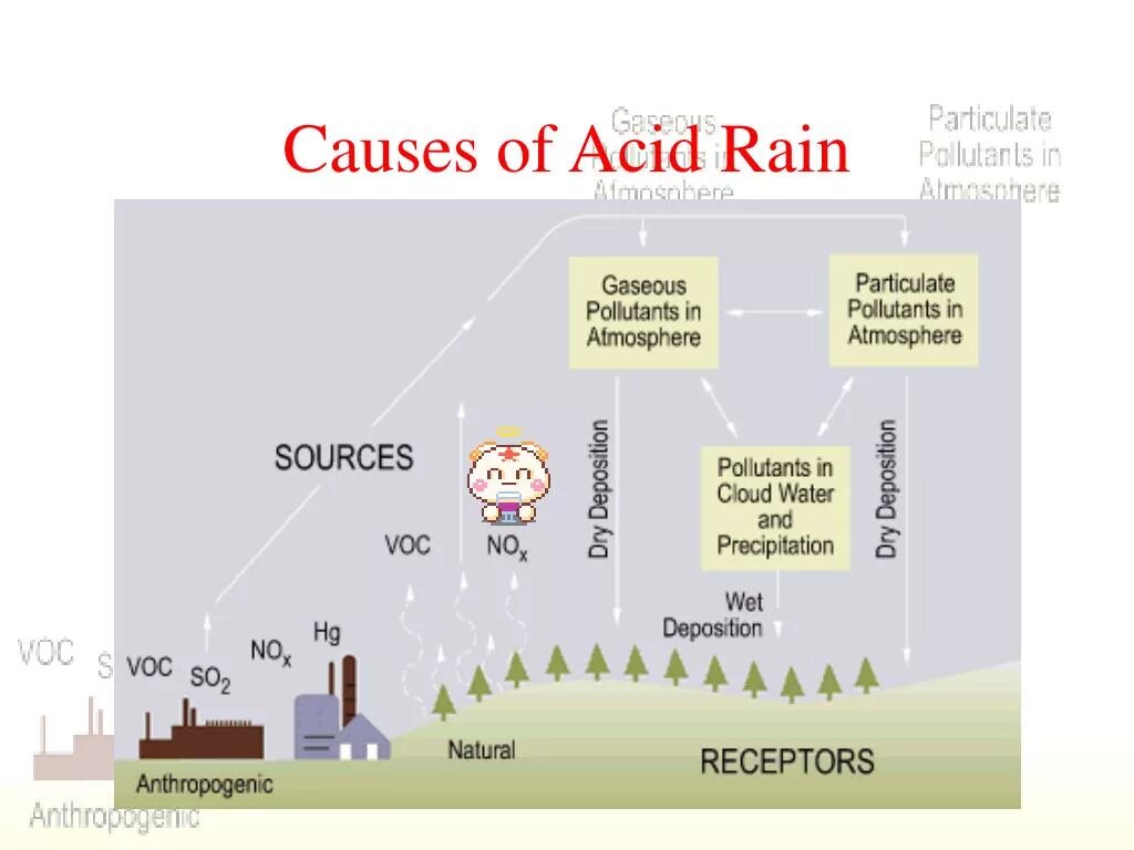 Английский 7 класс стр 77 acid rain. Кислотные дожди. Causes of acid Rain. What causes acid Rain. Acid Rain and solutions презентация.