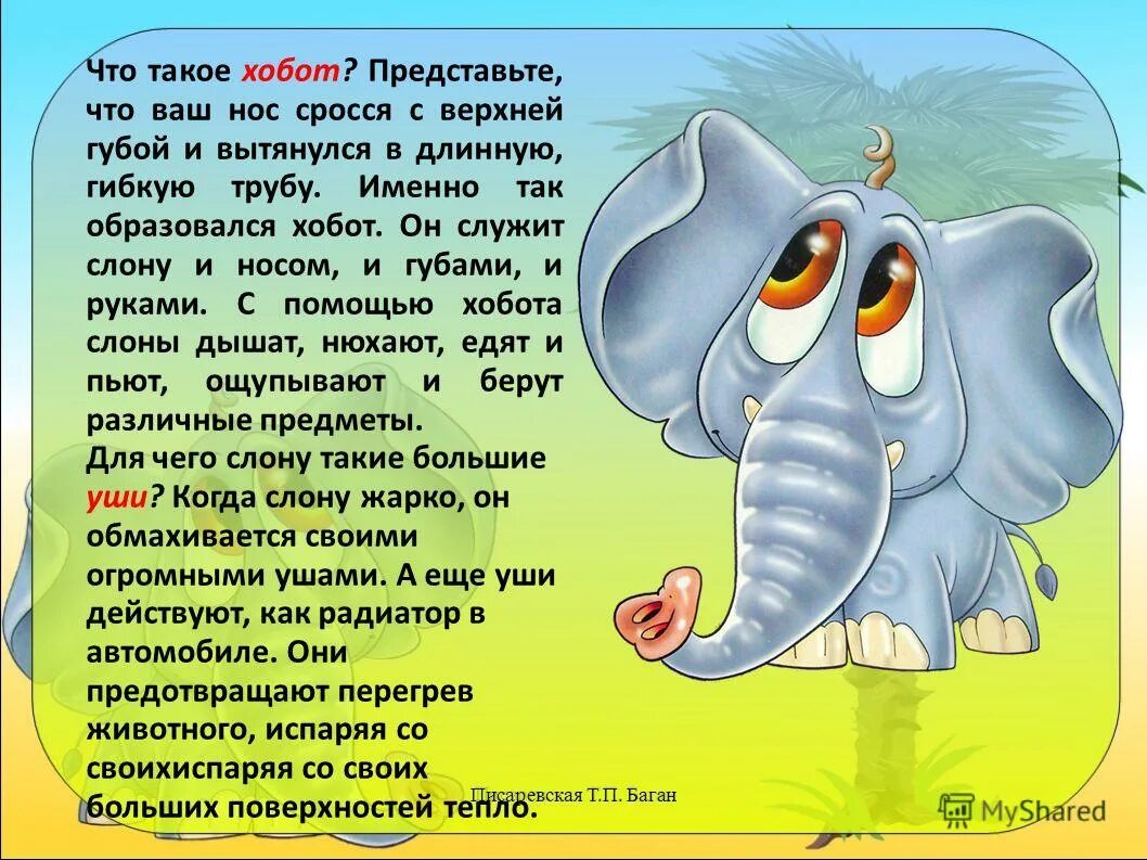 Слоников краткое. Стих про слоника. Стишок про слона для детей. Описание слона. Смешной стих про слона.