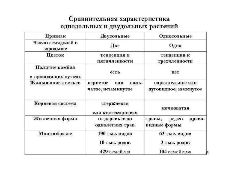 Деление покрытосеменных на классы. Таблица по биологии Однодольные и двудольные растения. Характеристика однодольных и двудольных растений таблица. Таблица признаки семейства классов двудольные и Однодольные. Однодольные и двудольные таблица сравнения 7 класс.