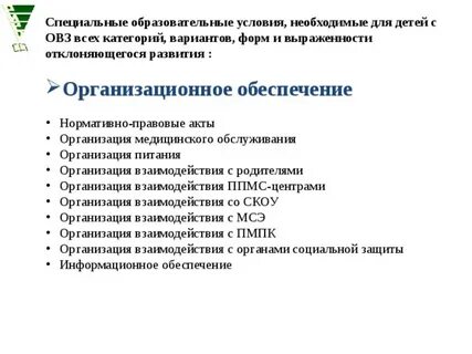 Специальные образовательные условия для детей с овз