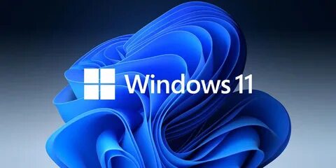 Window 365