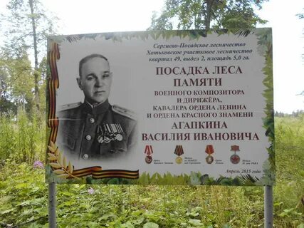 Посадское лесничество