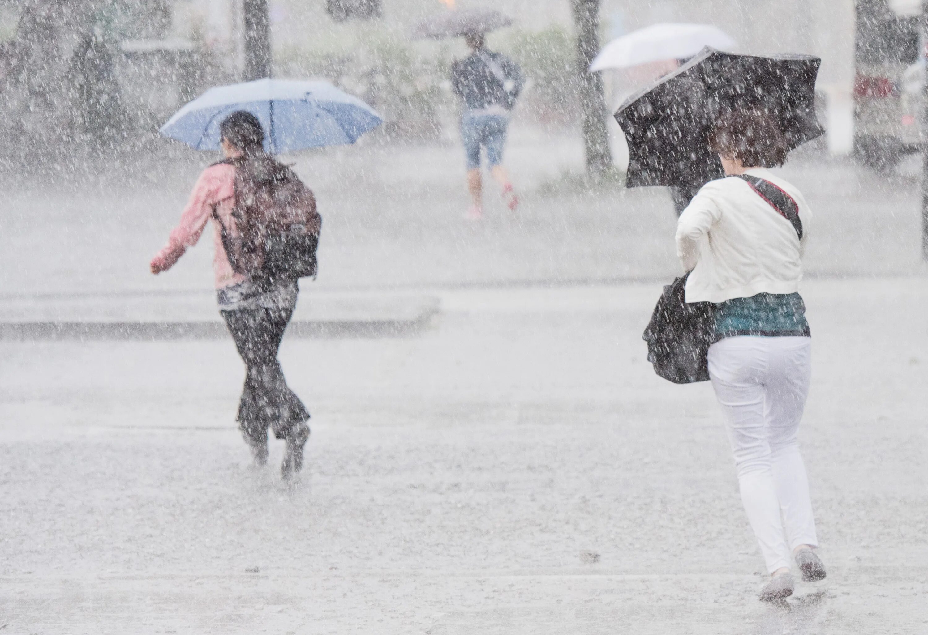 During rain. Дождь в Германии. Дождливый германский день. Снег летом в Германии\. Германия солнечно дождь.