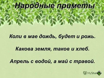 Какова земля таков и хлеб разбор