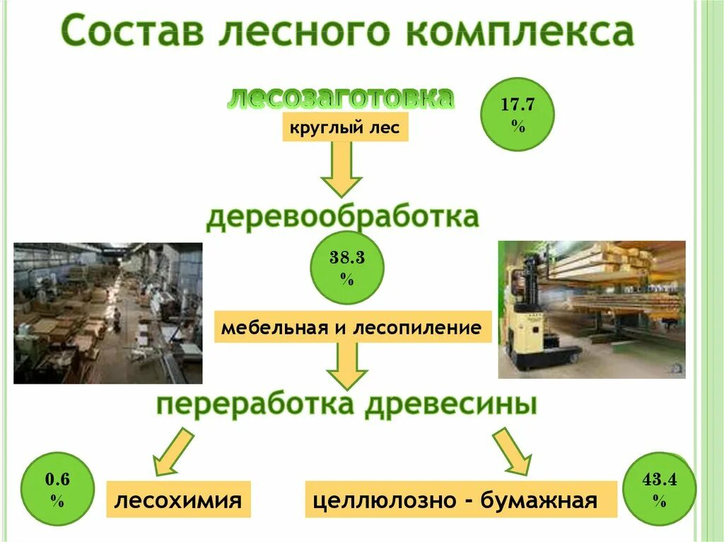 Лесная промышленность география 9 класс тесты. Лесопромышленный комплекс.9 класс география. структура лесной промышленности россии. лесная промышленность.9 класс география. строение лесной промышленности.